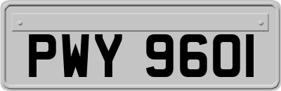 PWY9601