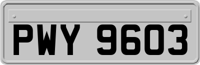 PWY9603