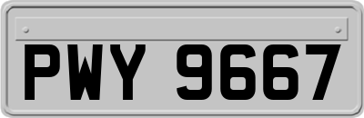 PWY9667