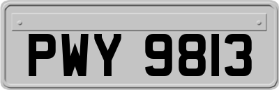 PWY9813