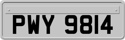 PWY9814