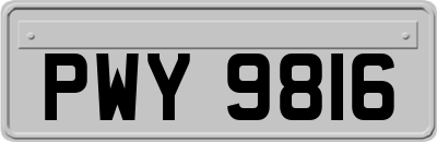 PWY9816