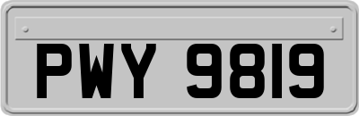 PWY9819