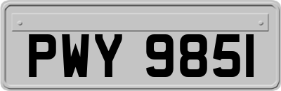 PWY9851