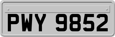 PWY9852