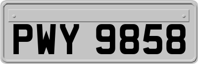 PWY9858