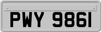 PWY9861