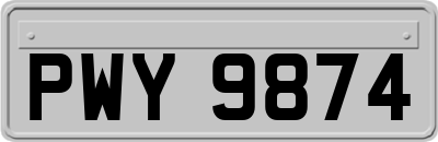 PWY9874