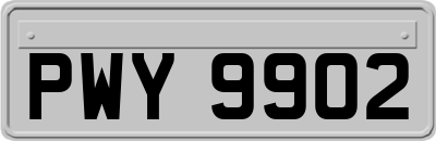 PWY9902