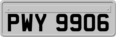 PWY9906