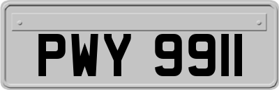 PWY9911