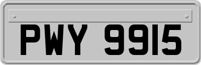 PWY9915