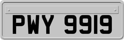 PWY9919