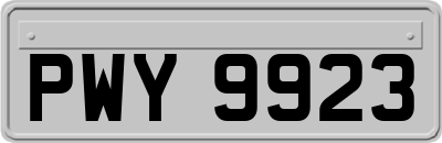 PWY9923