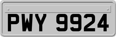 PWY9924