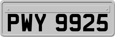 PWY9925