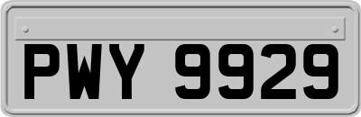 PWY9929