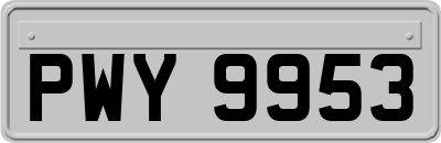 PWY9953