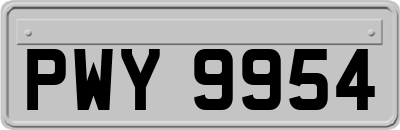 PWY9954