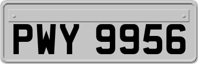 PWY9956