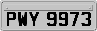 PWY9973