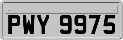 PWY9975