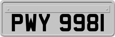 PWY9981