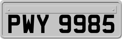 PWY9985