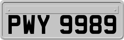 PWY9989