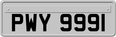 PWY9991