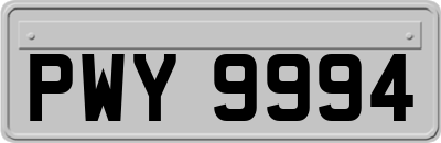 PWY9994