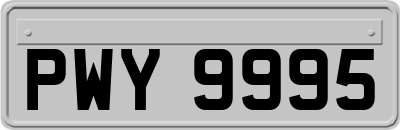 PWY9995