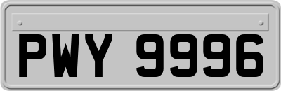 PWY9996