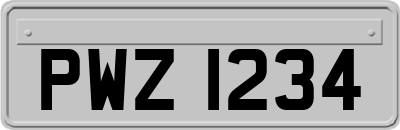 PWZ1234