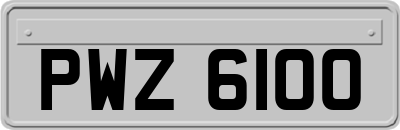 PWZ6100