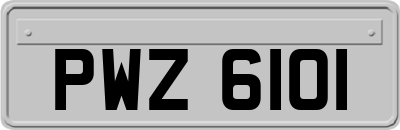 PWZ6101