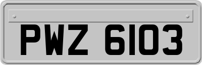 PWZ6103