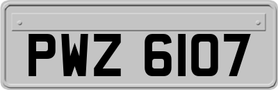 PWZ6107