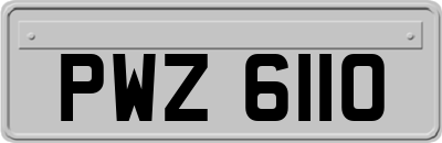 PWZ6110