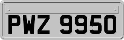 PWZ9950