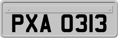 PXA0313