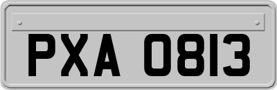 PXA0813