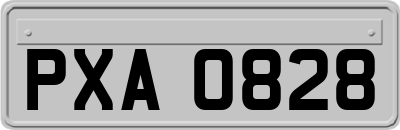 PXA0828