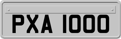 PXA1000