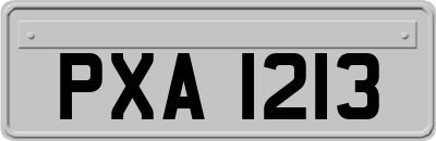 PXA1213