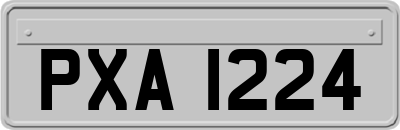 PXA1224