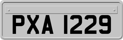 PXA1229