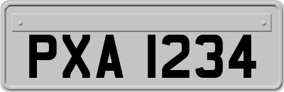 PXA1234