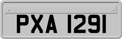 PXA1291