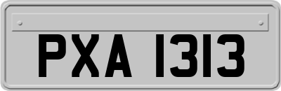 PXA1313